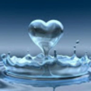 Meet your Posher, Bernadette